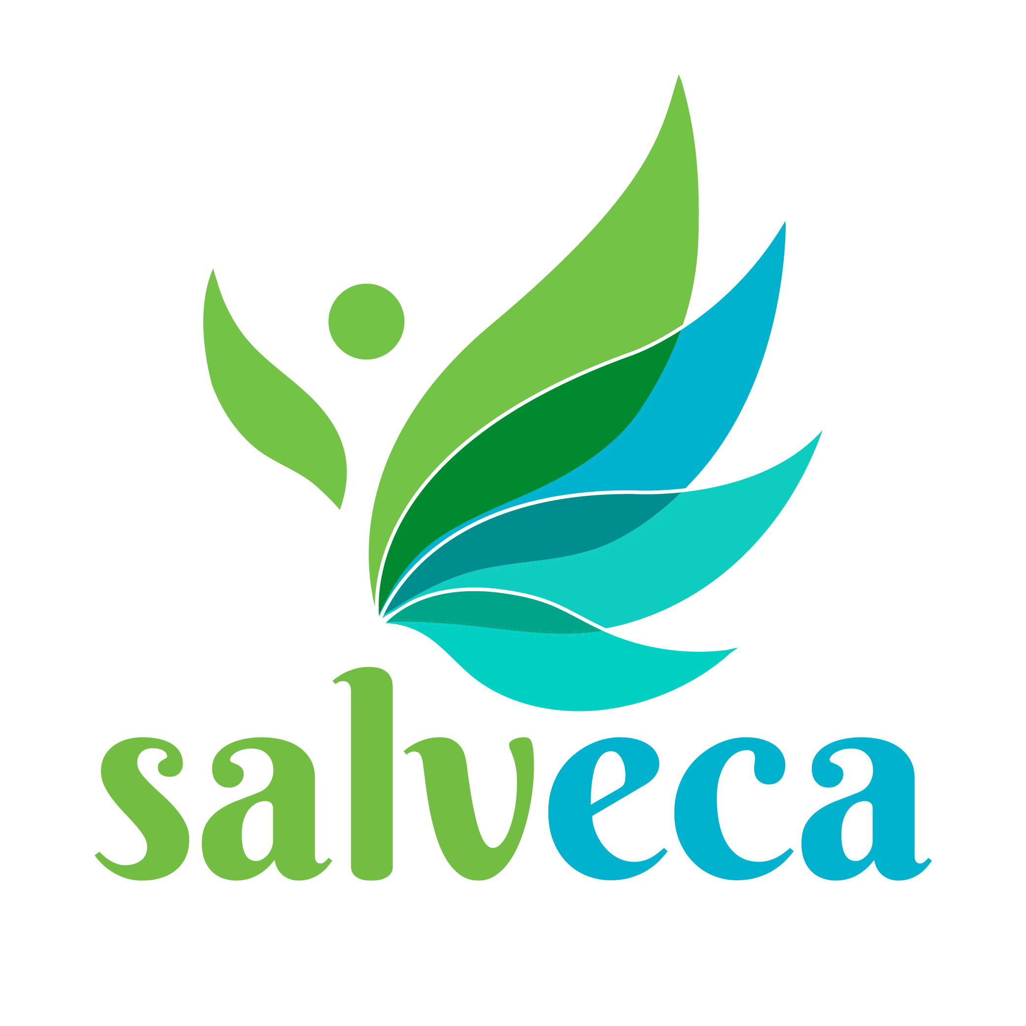 salveca healthcare logo